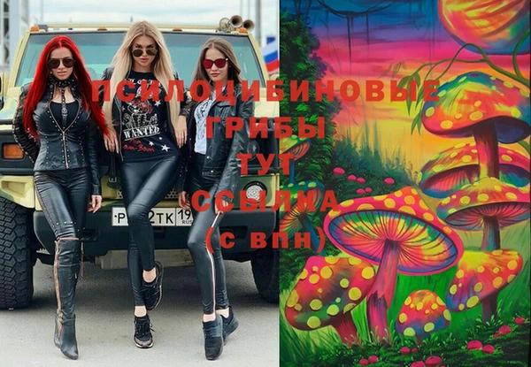 прущий лед Алзамай