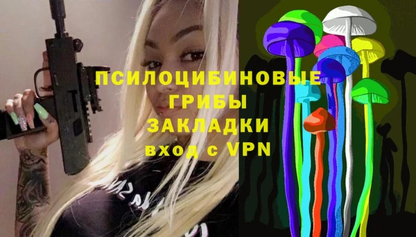 прущий лед Алзамай