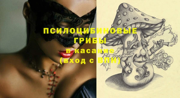 сатива Алексин