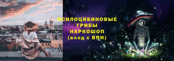 прущий лед Алзамай